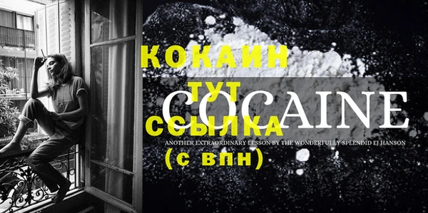 шишки Рославль
